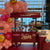 Candy Buffet Packages